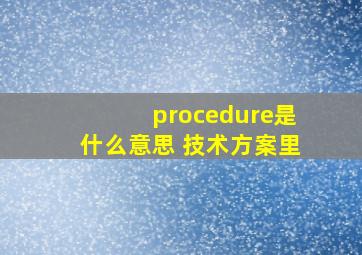 procedure是什么意思 技术方案里